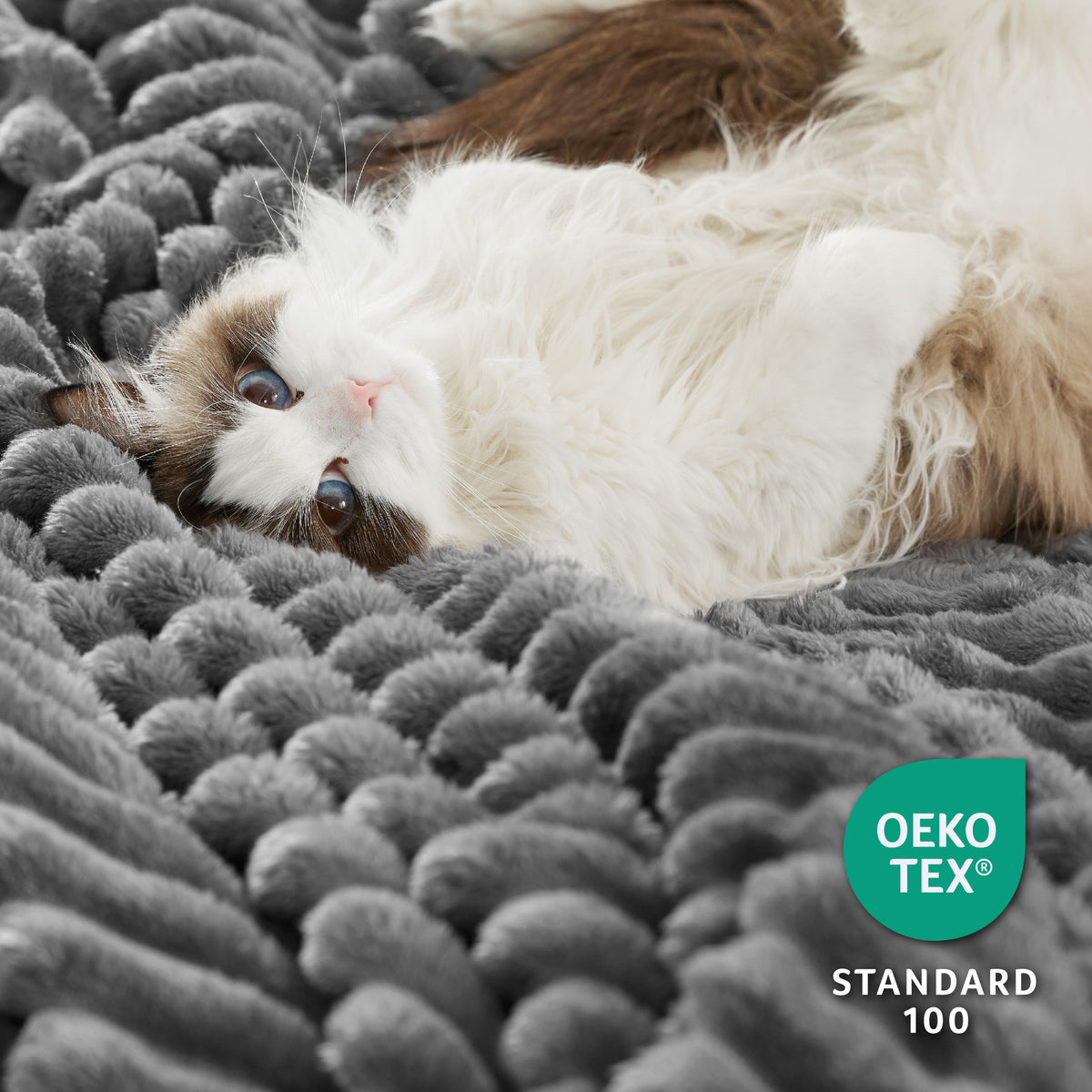 Acquard Stripes Shaggy Sherpa Blanket