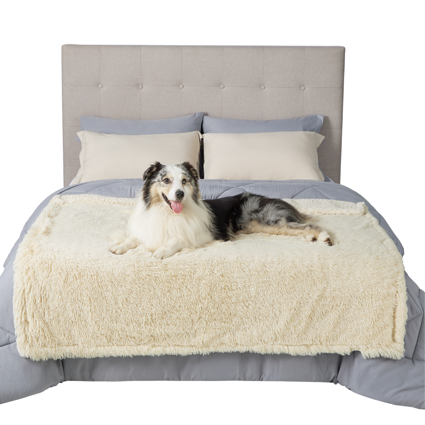 Waterproof Dog Blanket