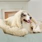 Waterproof Dog Blanket