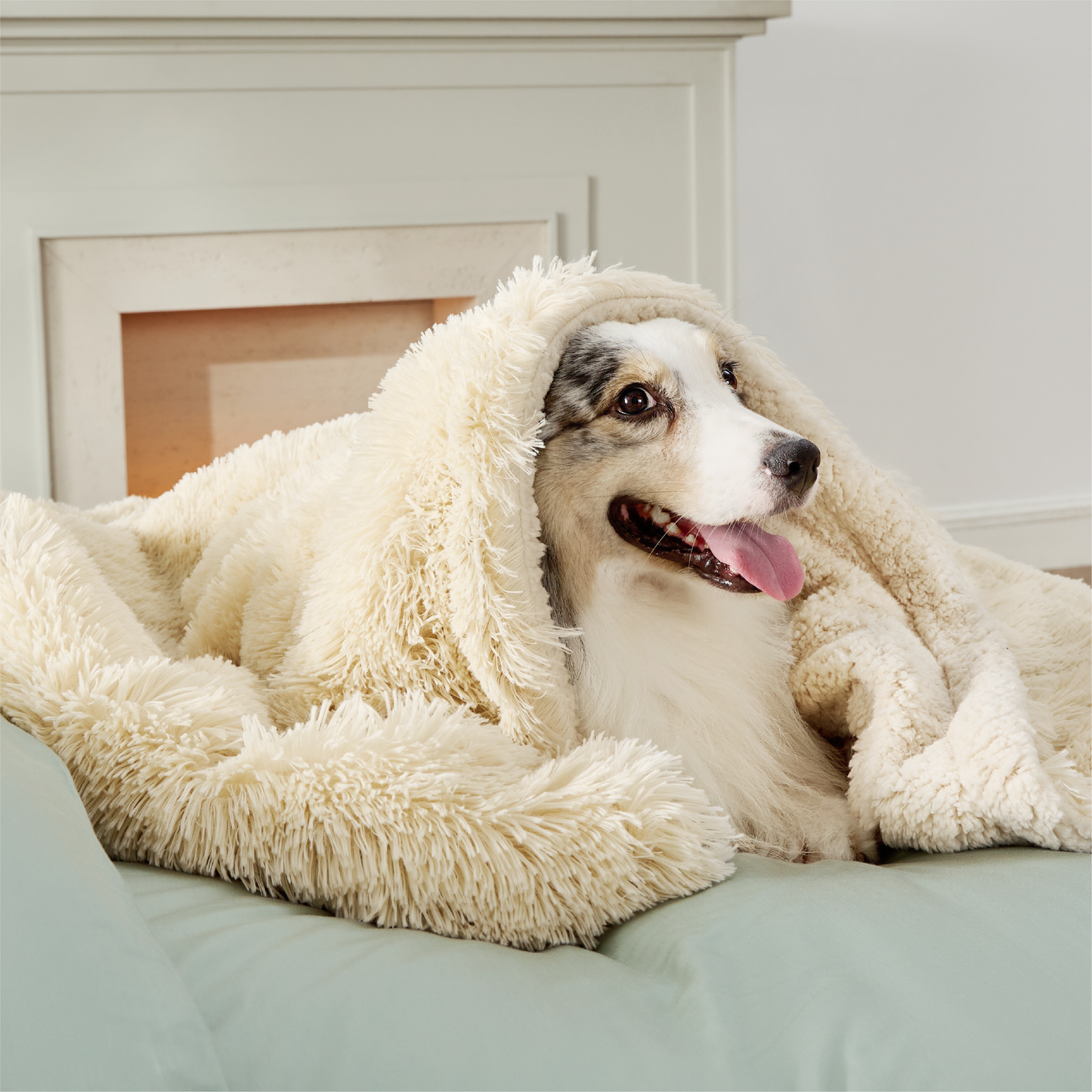 Waterproof Dog Blanket