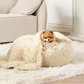 Waterproof Dog Blanket