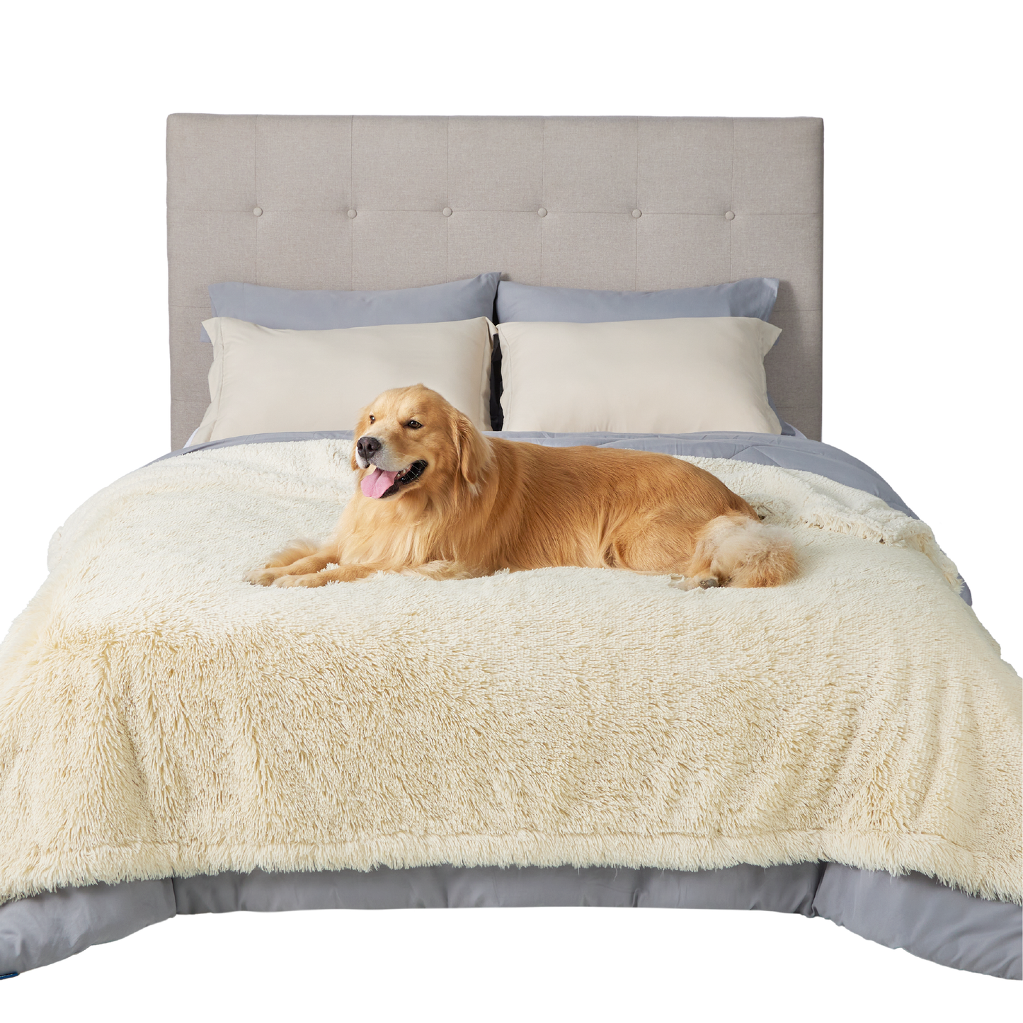 Waterproof Dog Blanket