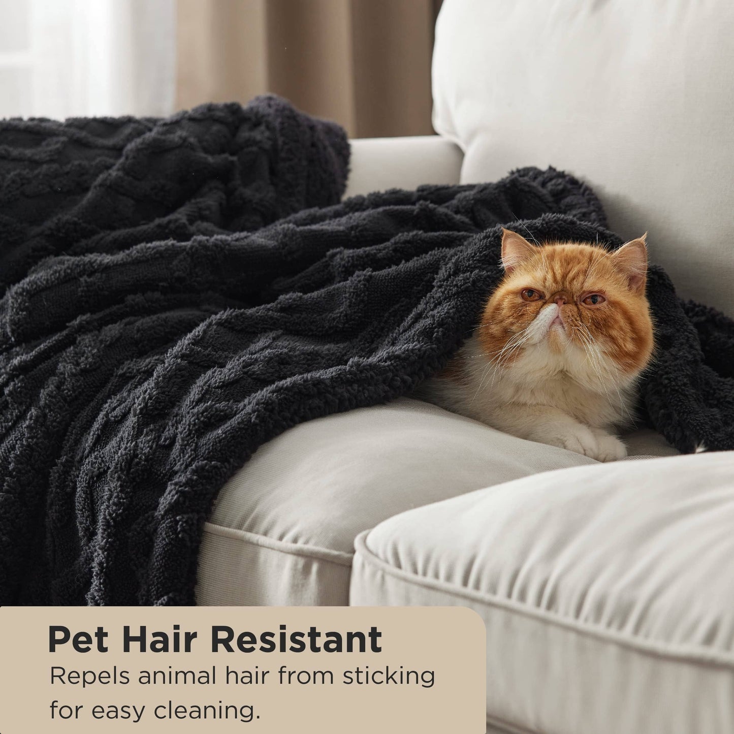 Sherpa Throw Blanket For Couch