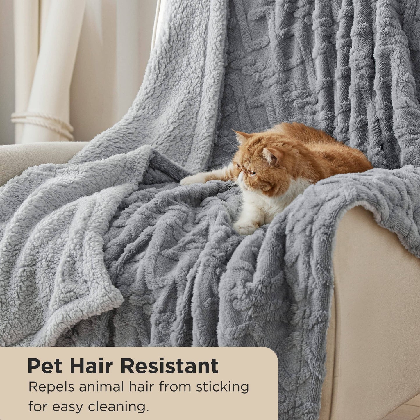 Sherpa Throw Blanket For Couch