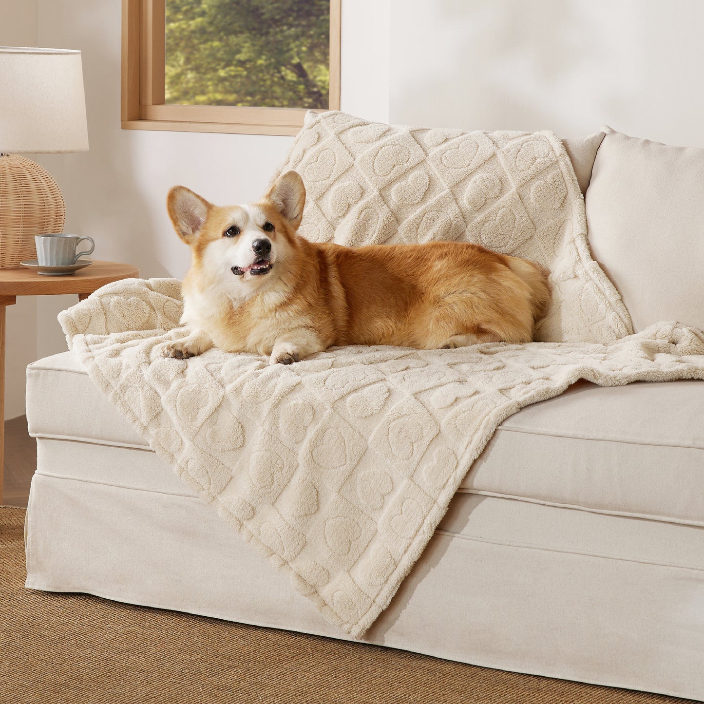 Jacquard Fleece Pet Blanket