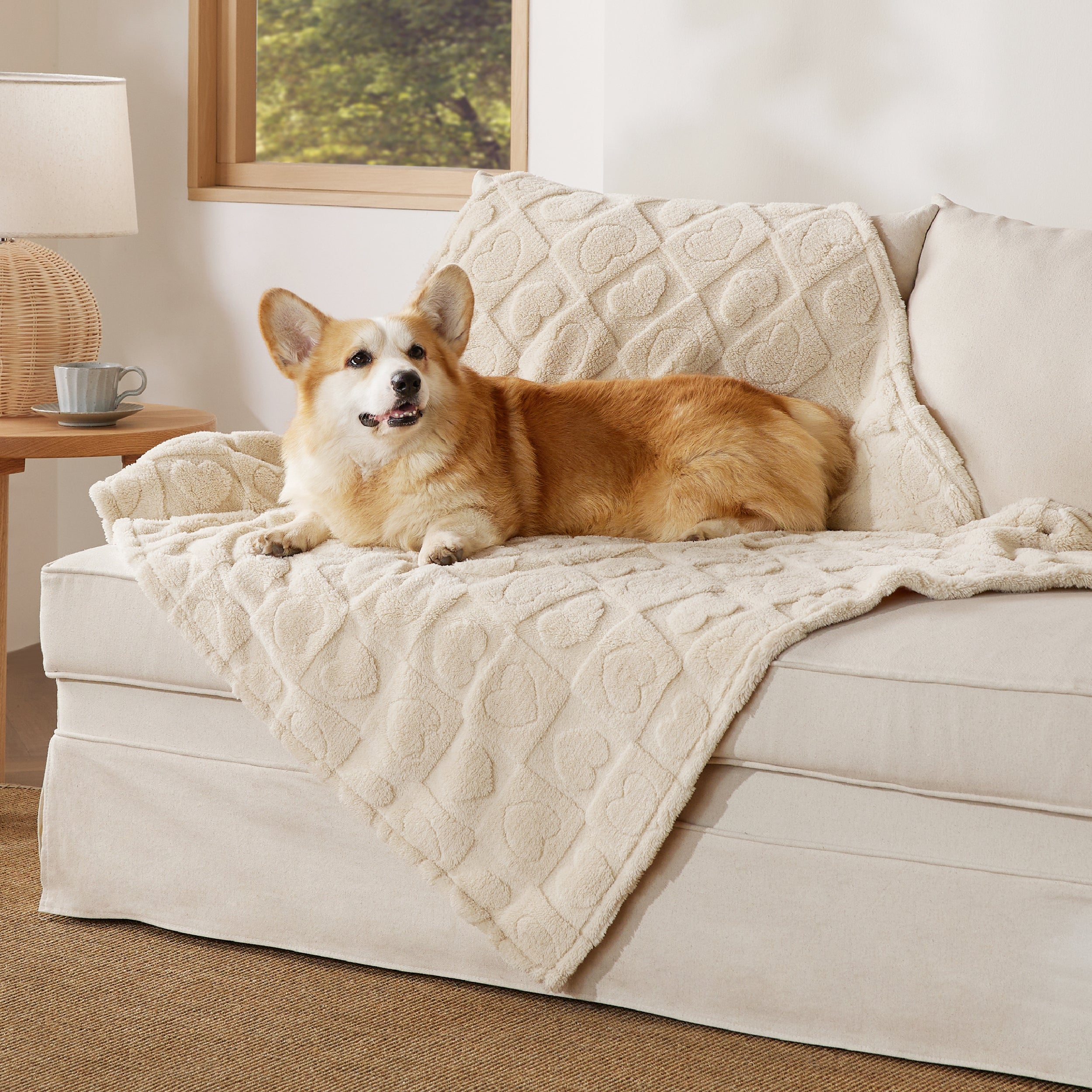 Jacquard Fleece Pet Blanket