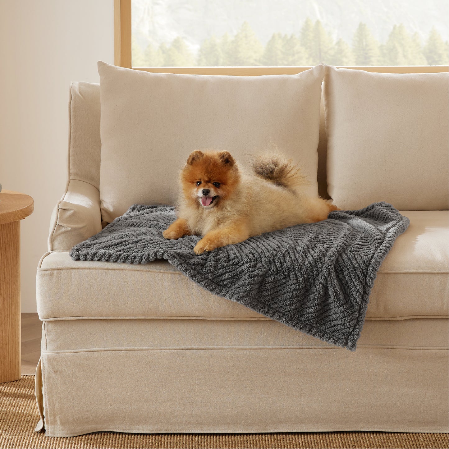 Jacquard Fleece Pet Blanket