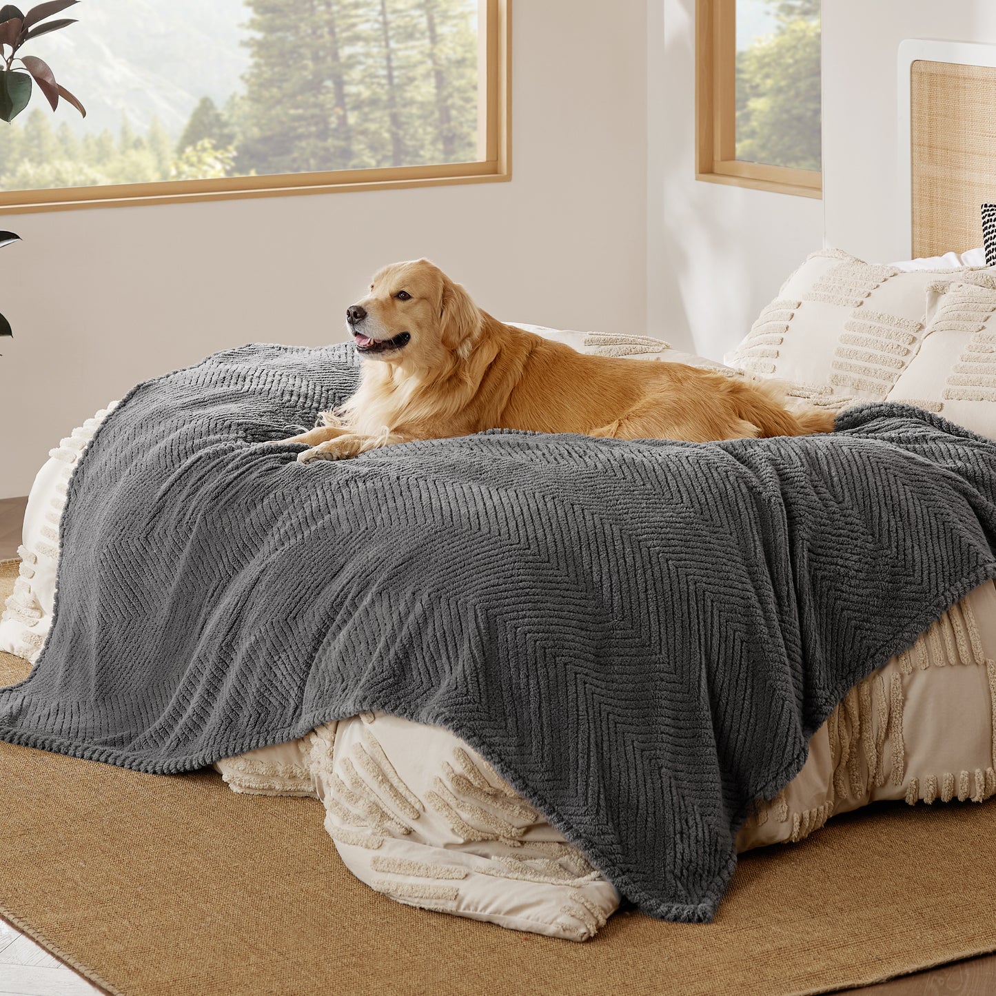 Jacquard Fleece Pet Blanket