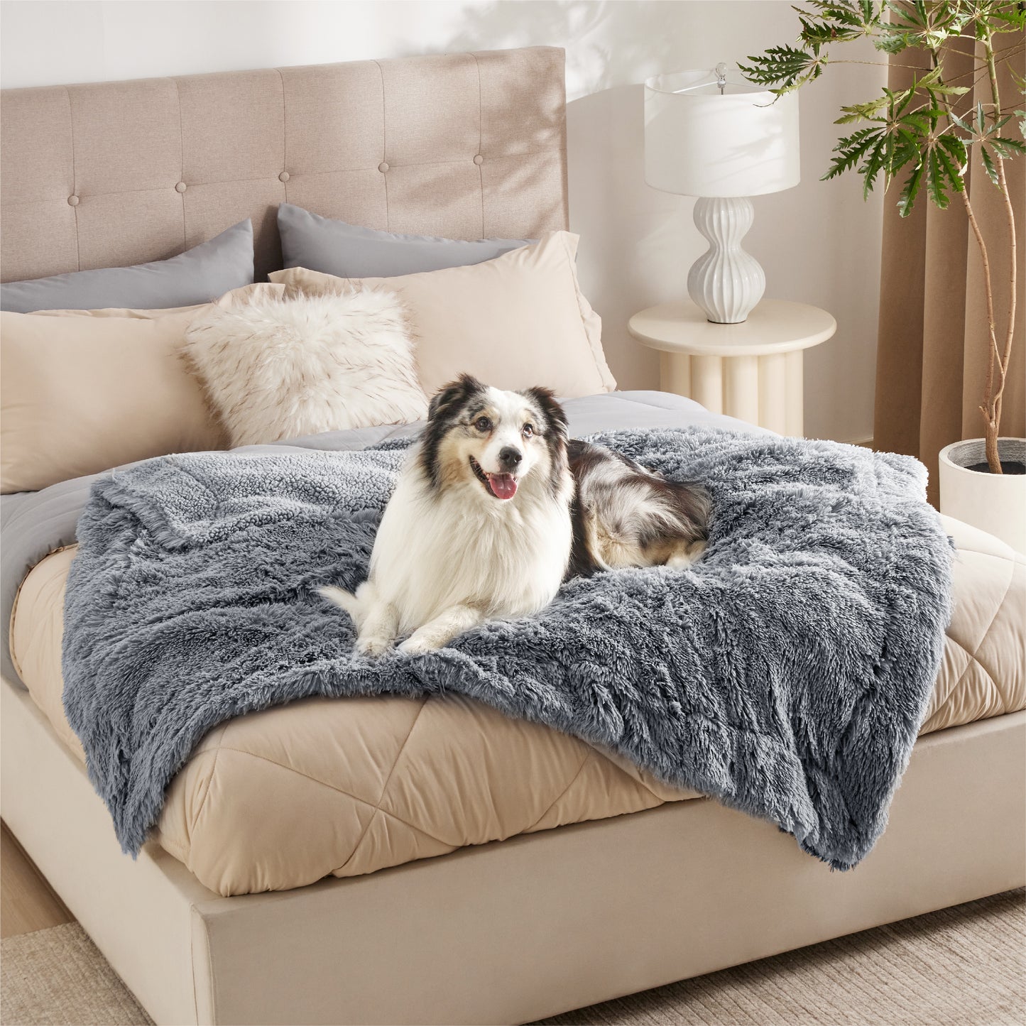 Waterproof Dog Blanket