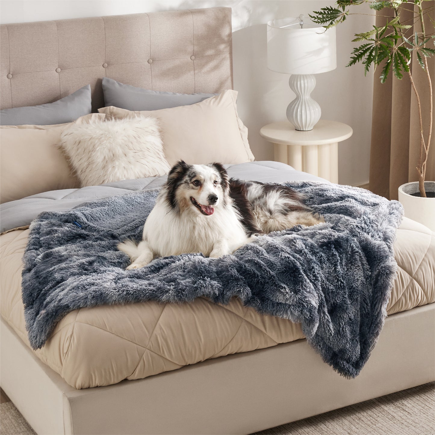 Waterproof Dog Blanket
