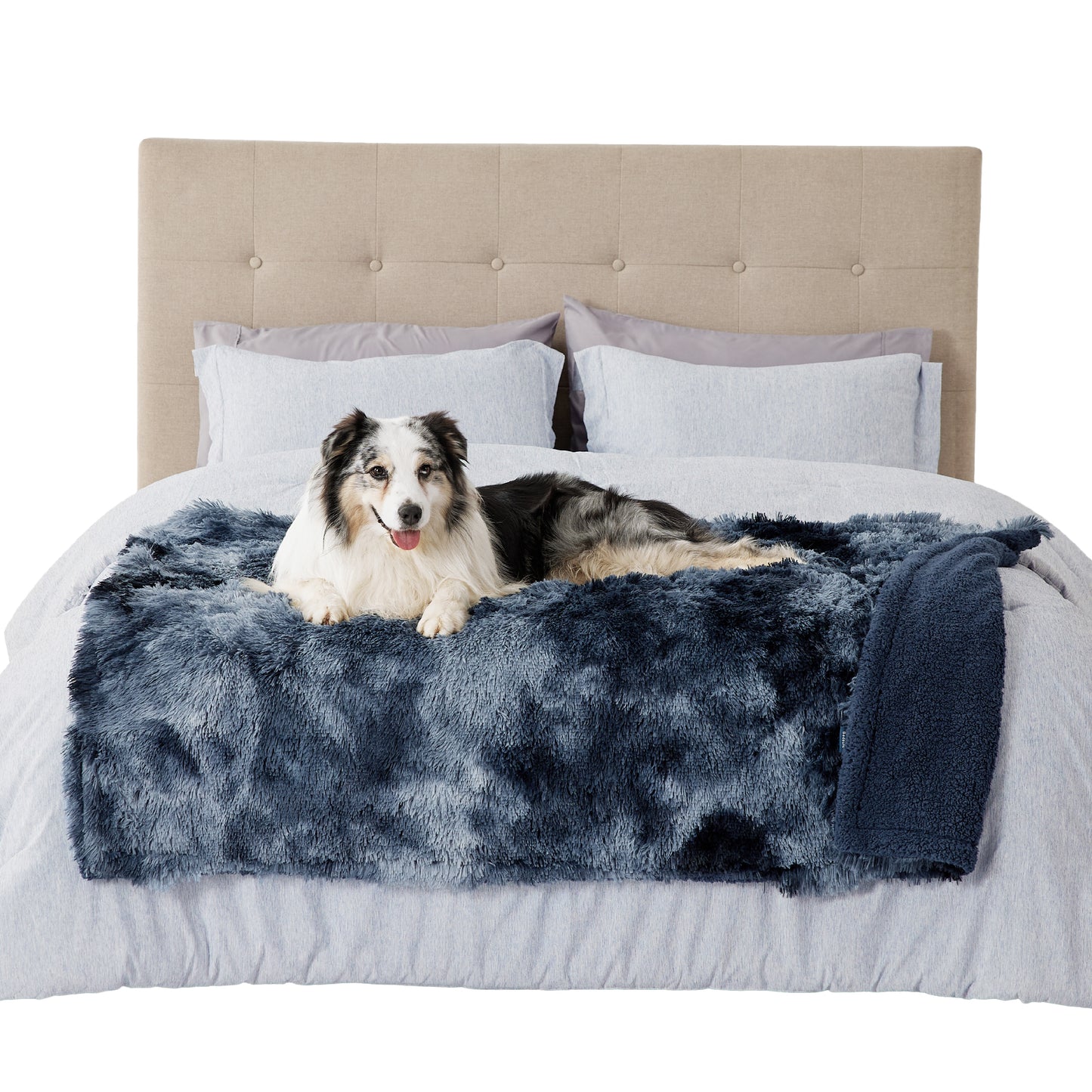 Waterproof Dog Blanket