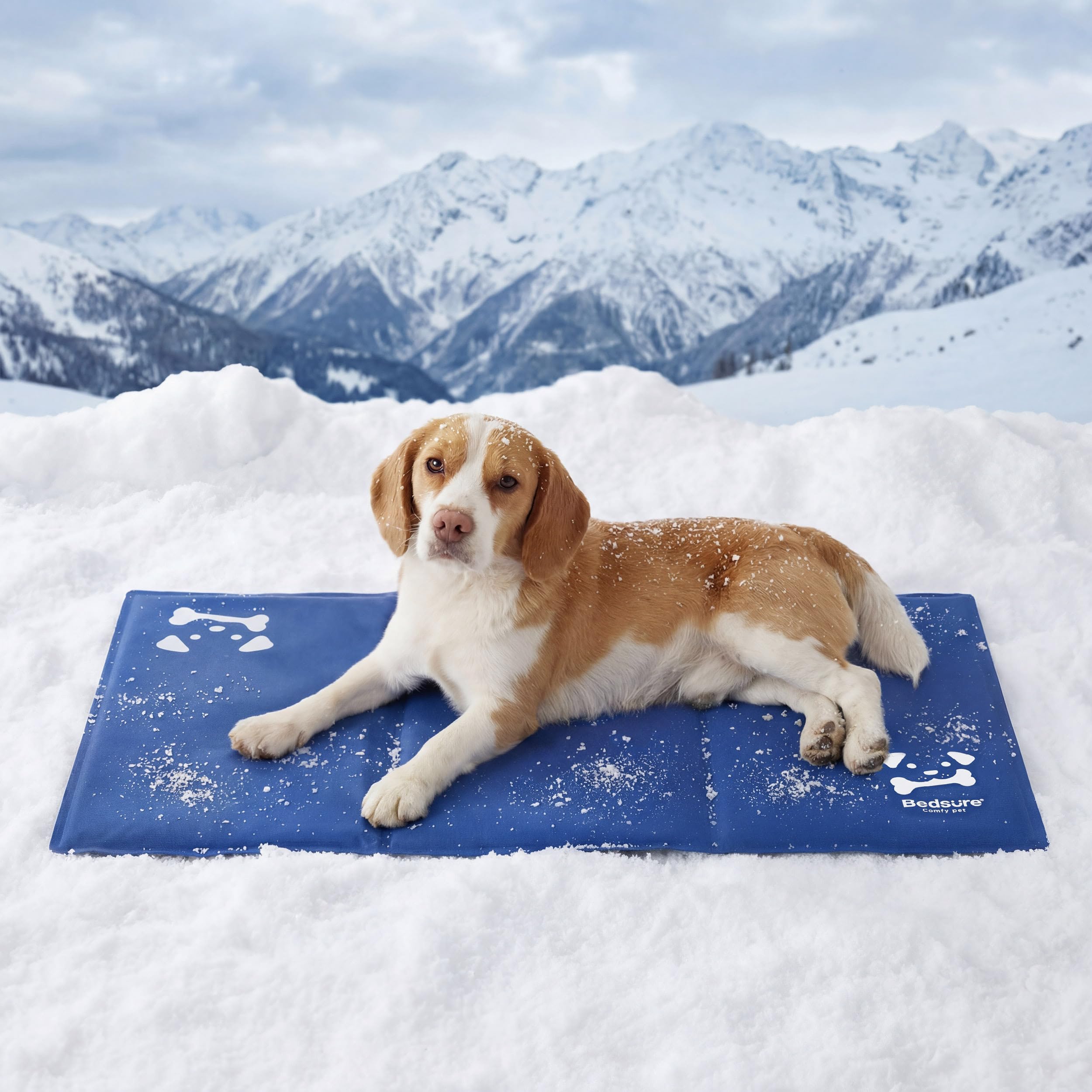 Cooling Gel Dog Mat
